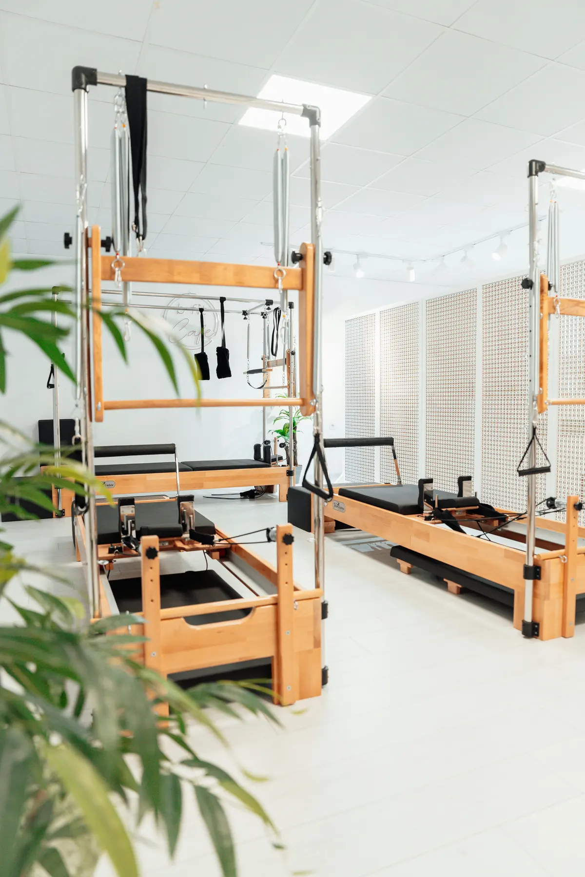 Tower wall: Springs, straps and bars for private sessions.